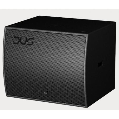 DUS Audio DSW1000
